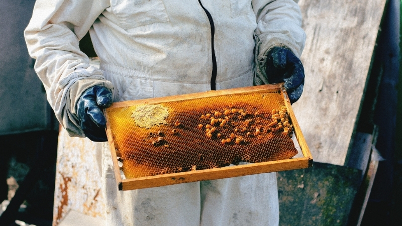 Balıkesir Büyükşehir Belediyesi ve Edremit Belediyesi işbirliğiyle düzenlenen 1. Uluslararası