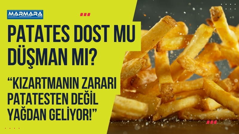 Patates gerçekten zararlı mı yoksa faydalı mı? Prof. Dr. Yavuz