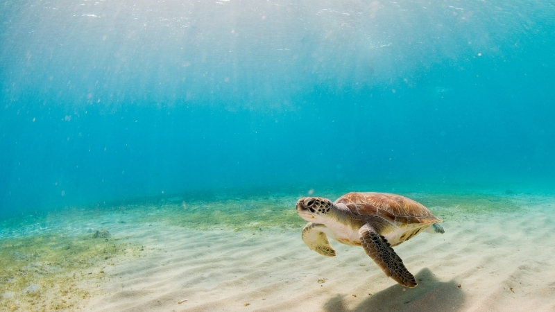 Adsiz tasarim 238 - Marmara Bölge Gazetesi