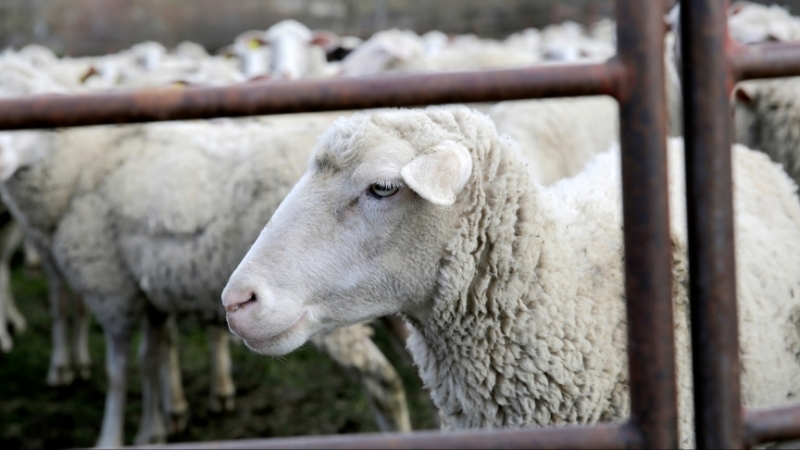 Adsiz tasarim 3 30 - Marmara Bölge Gazetesi