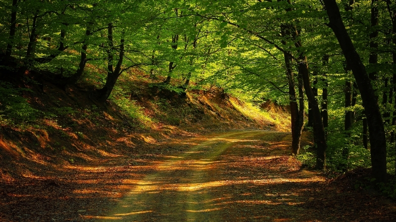 Adsiz tasarim 5 2 - Marmara Bölge Gazetesi