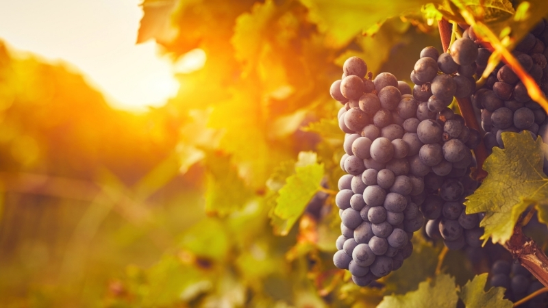 Adsiz tasarim 75 - Marmara Bölge Gazetesi