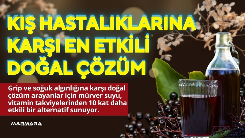 Grip ve soğuk algınlığına karşı doğal çözüm arayanlar için mürver