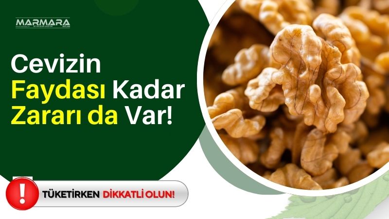 Sağlıklı beslenme üzerine yaptığı paylaşımlarla tanınan Dr. Eric Berg, YouTube