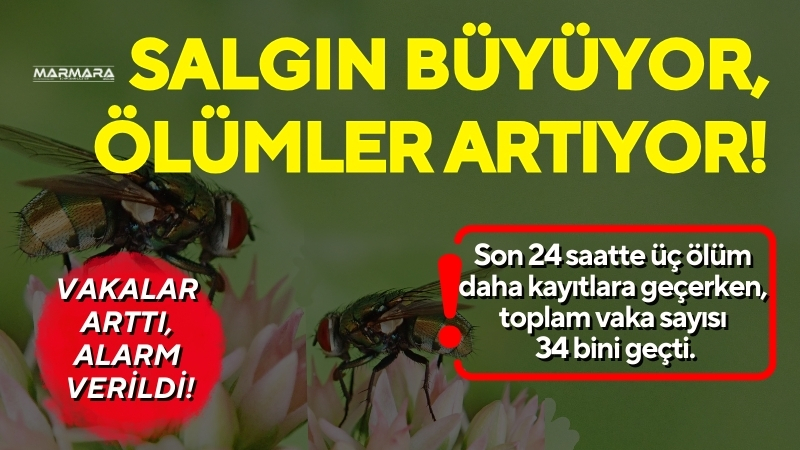 Sivrisinek kaynaklı dang humması Bangladeş’te can almaya devam ediyor. Son
