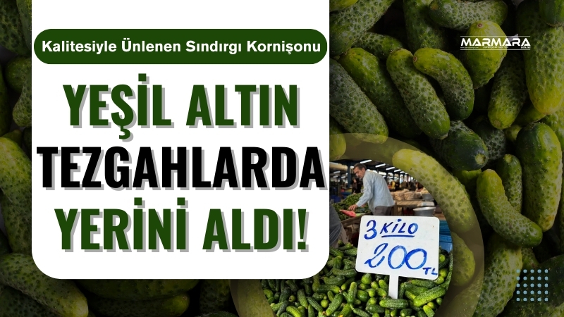 Balıkesir’in tarımsal üretimde adından söz ettiren ilçesi Sındırgı’da kornişon salatalık