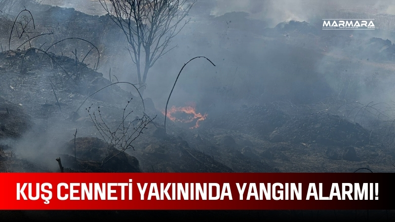 Balıkesir’in Bandırma ilçesi Susurluk kara yolunda, Manyas Kuş Cenneti yakınlarında