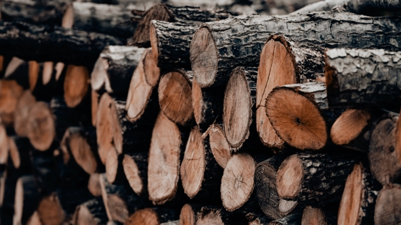 Balıkesir Orman Bölge Müdürlüğü ekipleri, karayollarında oluşturulan sabit ve mobil