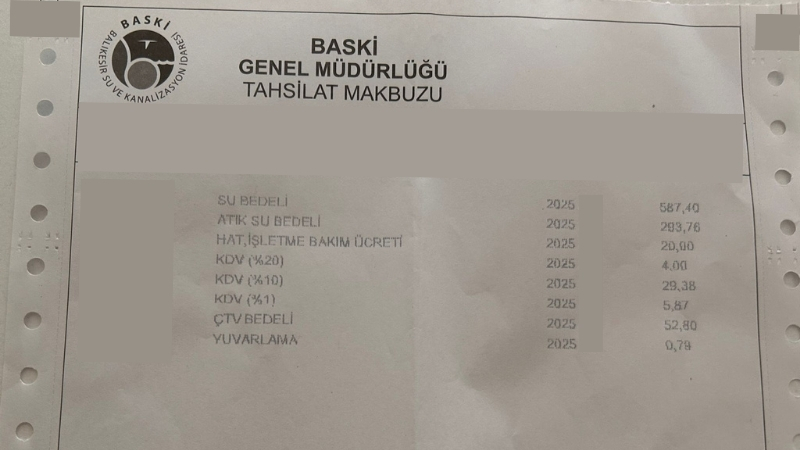 Evinize ve ofisinize Bu Cicekleri Alin Havanizi Temizleyin 82 - Marmara Bölge Gazetesi