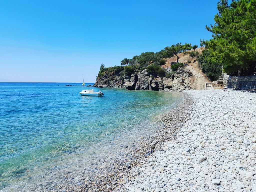 IMG 20200822 145726 587 - Marmara Bölge Gazetesi