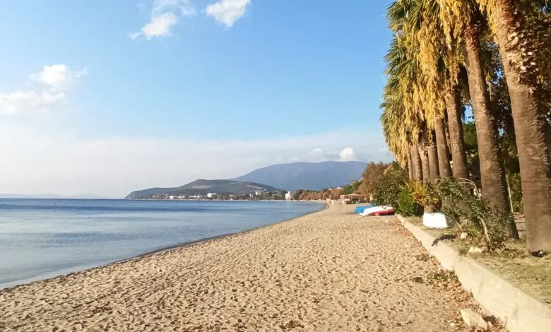 IMG 20221112 154841 scaled e1693314226925 780x470 1.jpg - Marmara Bölge Gazetesi