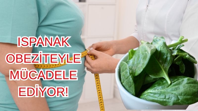 Prof. Dr. İbrahim Saraçoğlu, bir televizyon kanalında fonksiyonel gıdaların önemini