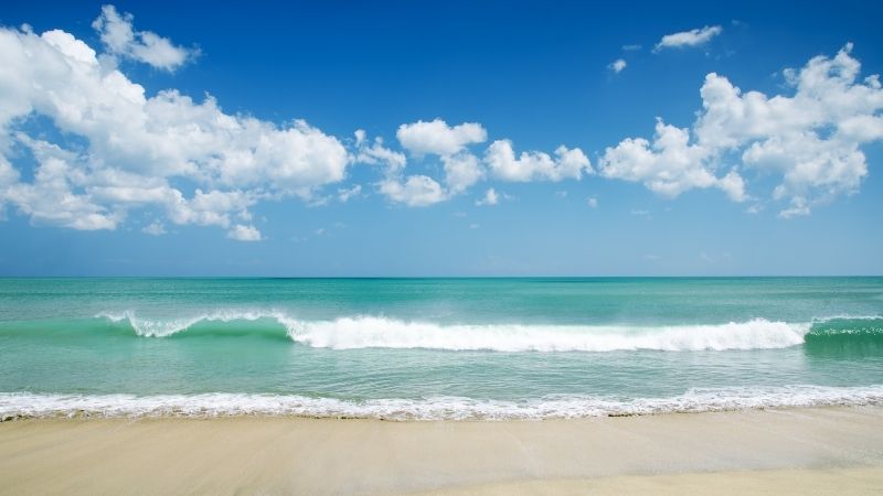 İzmir’in en gözde ilçelerinden olan Foça’da bulunan Sazlıca Plajı, sakin