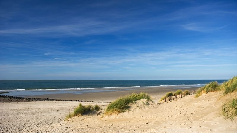 İzmir’in kalabalığından uzaklaşıp doğayla baş başa huzurlu bir gün geçirmek