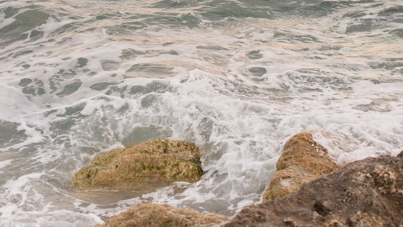 İzmir’in Selçuk ilçesinde Eylül ayında bile deniz suyu sıcaklığının 21