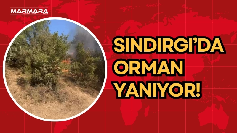 Balıkesir’in Sındırgı ilçesinde Binmurt mevkiinde orman yangını çıktı. Bağevlerine yaklaşan