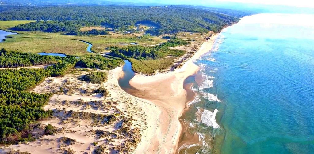 Sinop’un doğal güzellikleriyle ünlü Sarıkum Plajı, altın rengi kumsalı ve