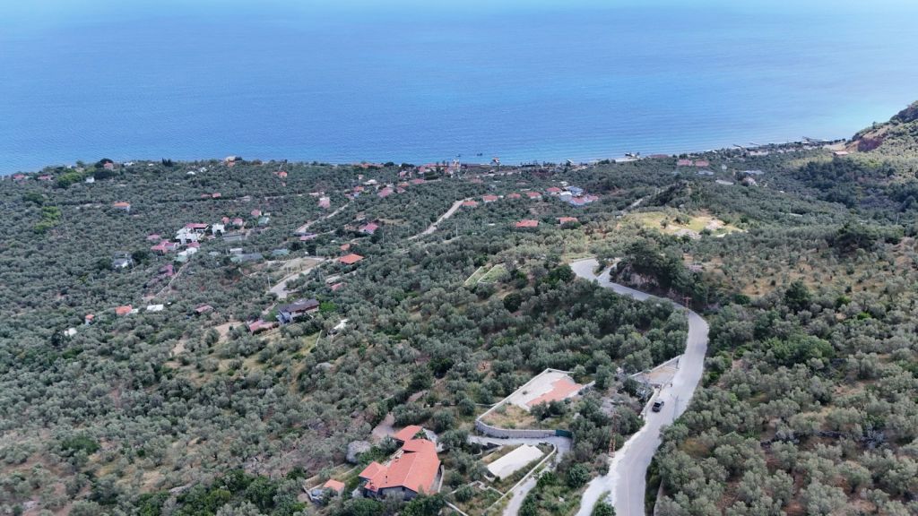 Kazdağları’nda Ege’nin En Güzel Köyü Sazli Koyunde Satilik Elektrigi Suyu ve Tas Duvarlari Olan Zeytinlik 76 - Marmara Bölge Gazetesi