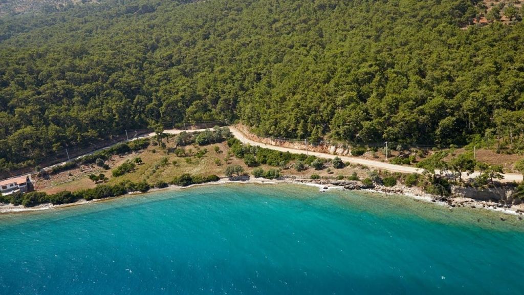 Çamların Gölgesinde, Berrak Suların İçinde: Boncuk Koyu’nda Ruhunuzu Dinlendirin Turnali Boncuk Koyuna Nasil Gidilir - Marmara Bölge Gazetesi