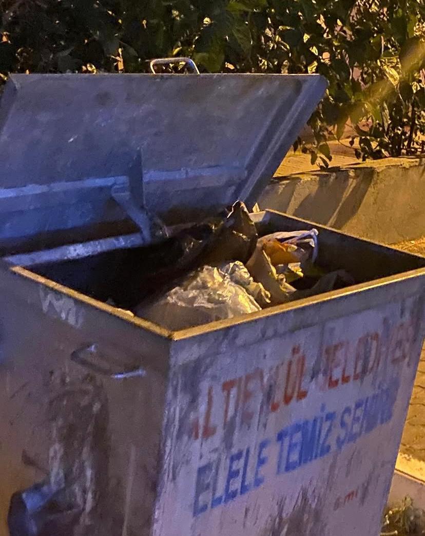 Balıkesir’de Çöp Krizi! WhatsApp Image 2025 09 01 at 13.39.27 3 - Marmara Bölge Gazetesi