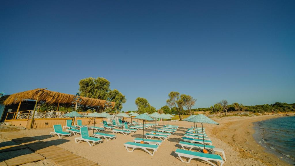 Ege’nin Altın Sarısı Cenneti: Altınkum Plajı Yelken Beach Hotel Didim 202507211552177 image 62 f - Marmara Bölge Gazetesi