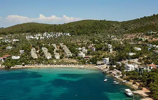 Zeytinli Kuyu Plajina Nasil Gidilir - Marmara Bölge Gazetesi