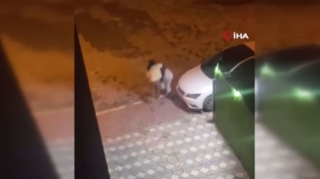Sokak Ortasında Saç Baş Kavga! ac1e409c b45c 40e2 a008 f2aa4b7f1e44 - Marmara Bölge Gazetesi
