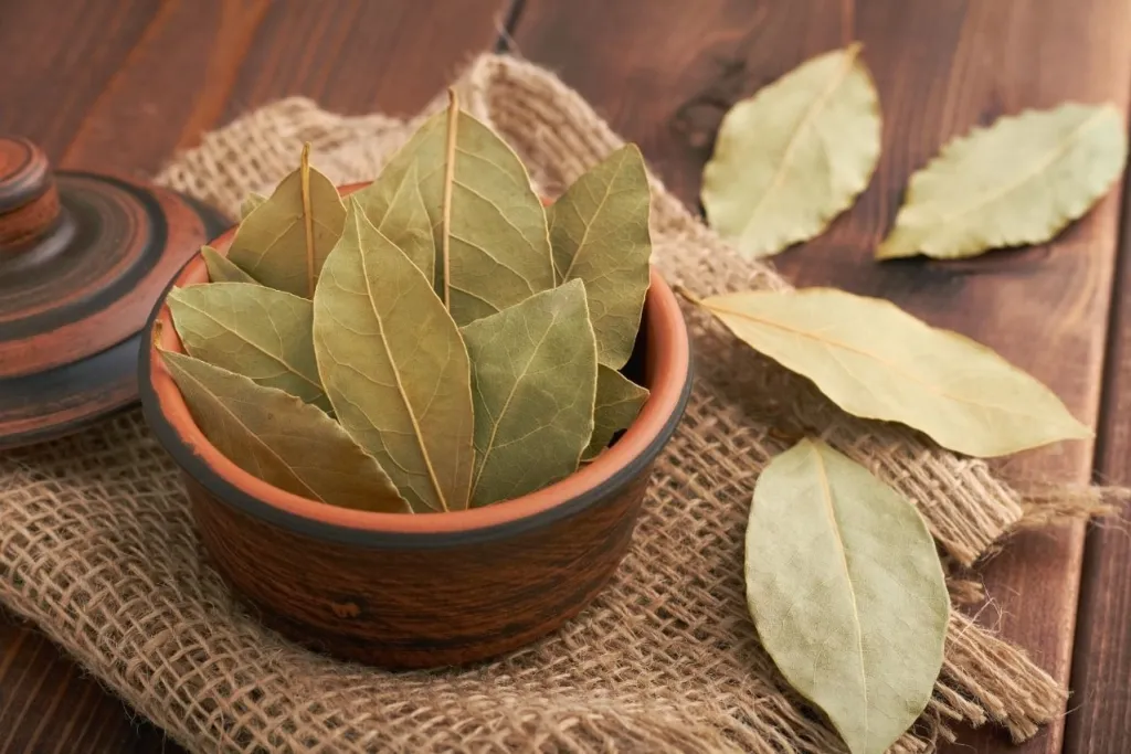 adeta dogal tutsu defne yapragini yakmak oyle faydali ki 1696245306 794 large - Marmara Bölge Gazetesi