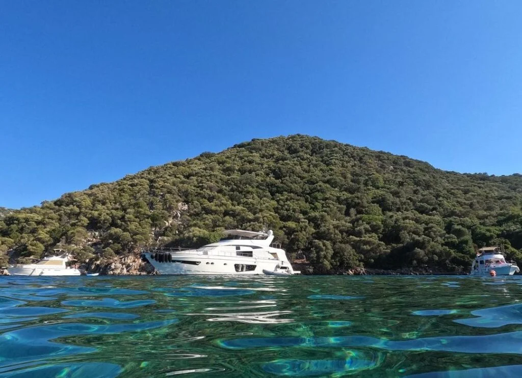 Sessizlik ve Huzuru Aynı Anda Sunan Koy akvaryum koyu 2 1024x742 1 - Marmara Bölge Gazetesi