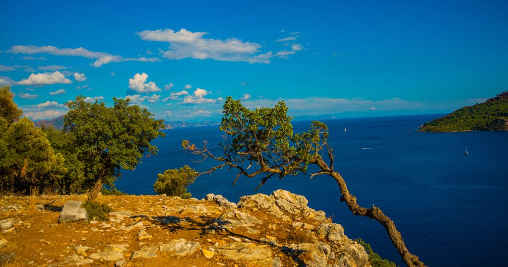 amos koyu 1200x630 1 - Marmara Bölge Gazetesi
