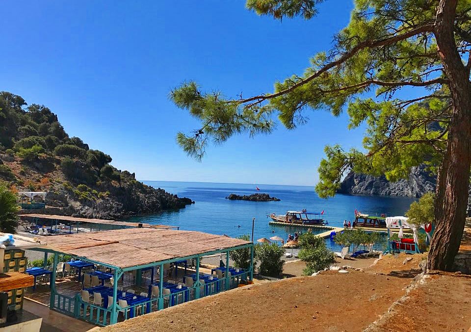 asi koyu1 - Marmara Bölge Gazetesi