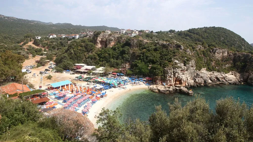 avzd - Marmara Bölge Gazetesi