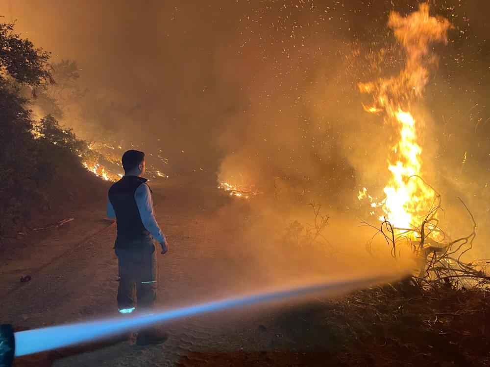 aw541078 02 - Marmara Bölge Gazetesi