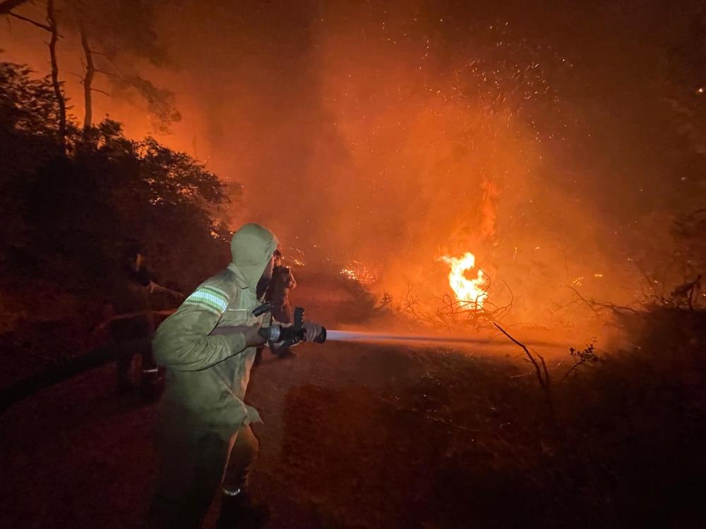 aw541078 03 - Marmara Bölge Gazetesi