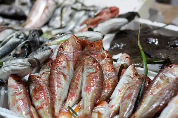 Balıkesir’de av yasağının sona ermesiyle tezgâhlarda barbun bolluğu yaşandı. Sezonun