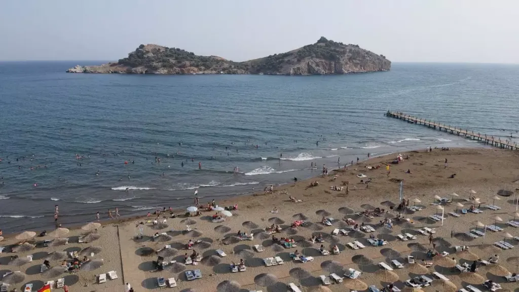 batch AA 20240719 35187076 35187064 MUGLADA SARIGERME PLAJINA MAVI BAYRAK ASILDI 1 - Marmara Bölge Gazetesi