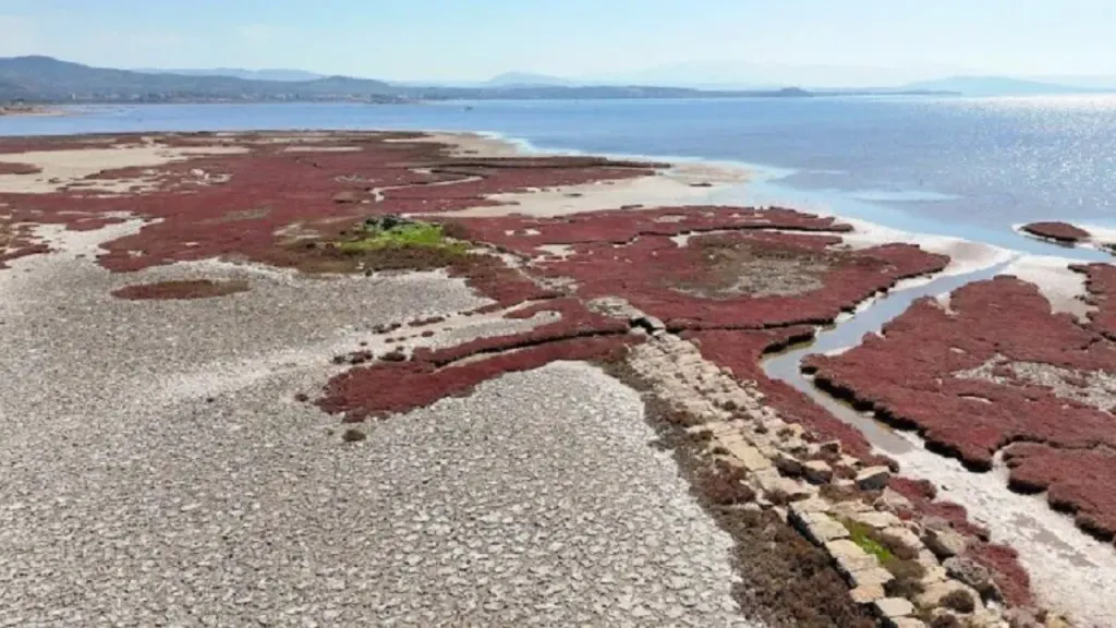 bergama antik liman 2 - Marmara Bölge Gazetesi