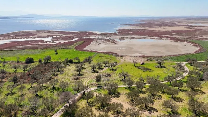 bergama elaia 1 - Marmara Bölge Gazetesi