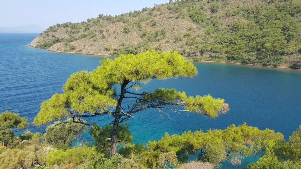 bordubet 2 - Marmara Bölge Gazetesi