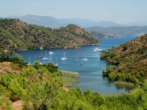 boynuzbuku koyu 1XP5TYD8ZVFNQYHH31N23BQY4I2ODH - Marmara Bölge Gazetesi