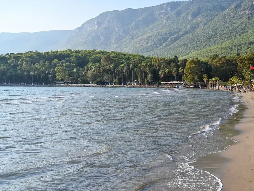 cinar plaji 41382 - Marmara Bölge Gazetesi