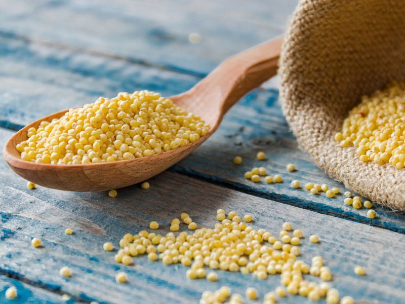 dari nasil yenir nasil pisirilir 36ab246e 4073 42dc 84a5 725c1bc81b8e - Marmara Bölge Gazetesi