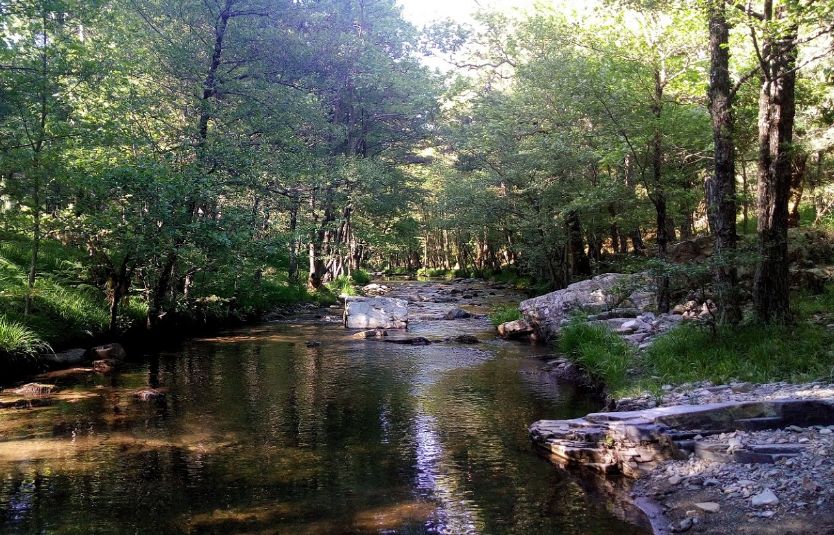 daridere tabiat parki 9599032094 - Marmara Bölge Gazetesi