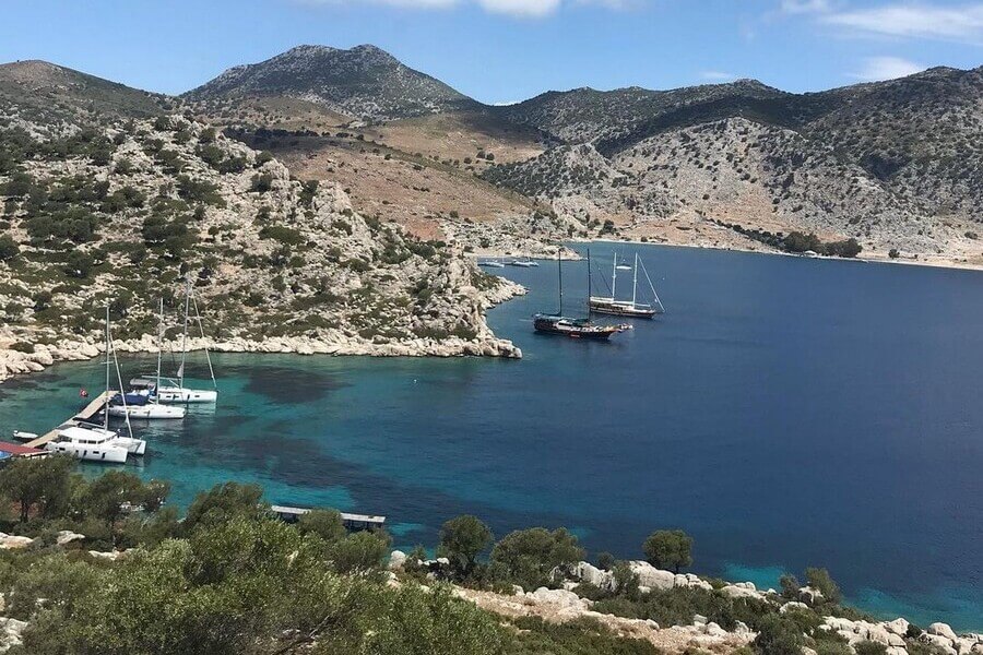 dirsekbuku koyu 900x600 1 - Marmara Bölge Gazetesi