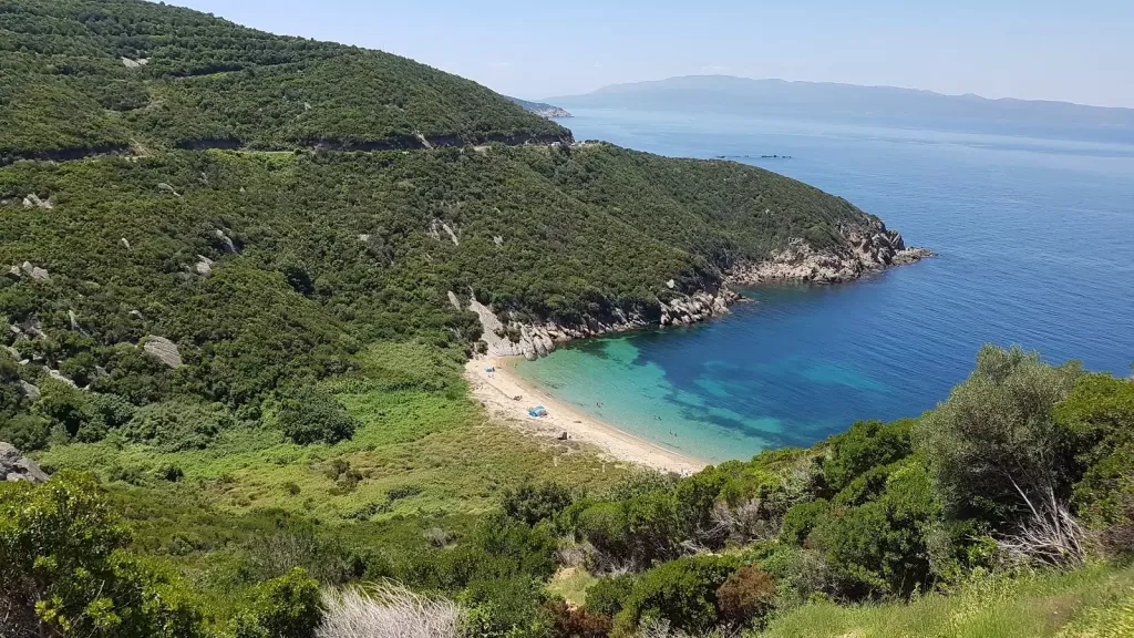 - Marmara Bölge Gazetesi