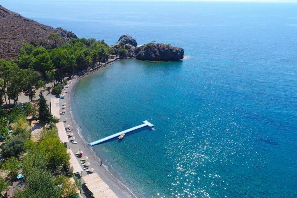 gabaklar koyu 1 1 - Marmara Bölge Gazetesi