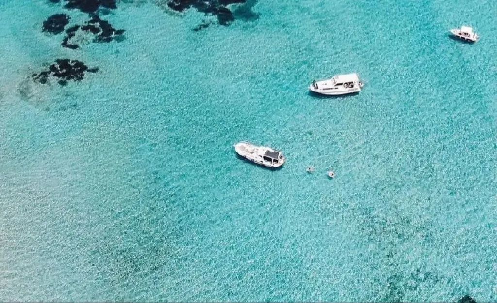 garip adasi 1 - Marmara Bölge Gazetesi