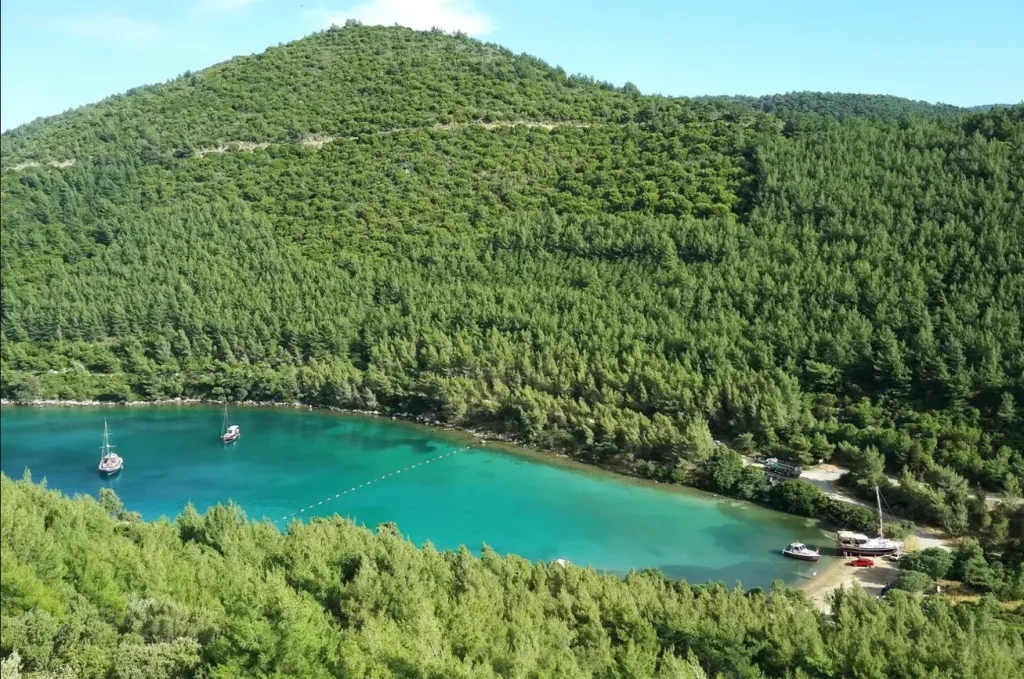Denizin Üstünde Uyku, Çamların Gölgesinde Huzur! golturkbuku cennet koyu 1 - Marmara Bölge Gazetesi