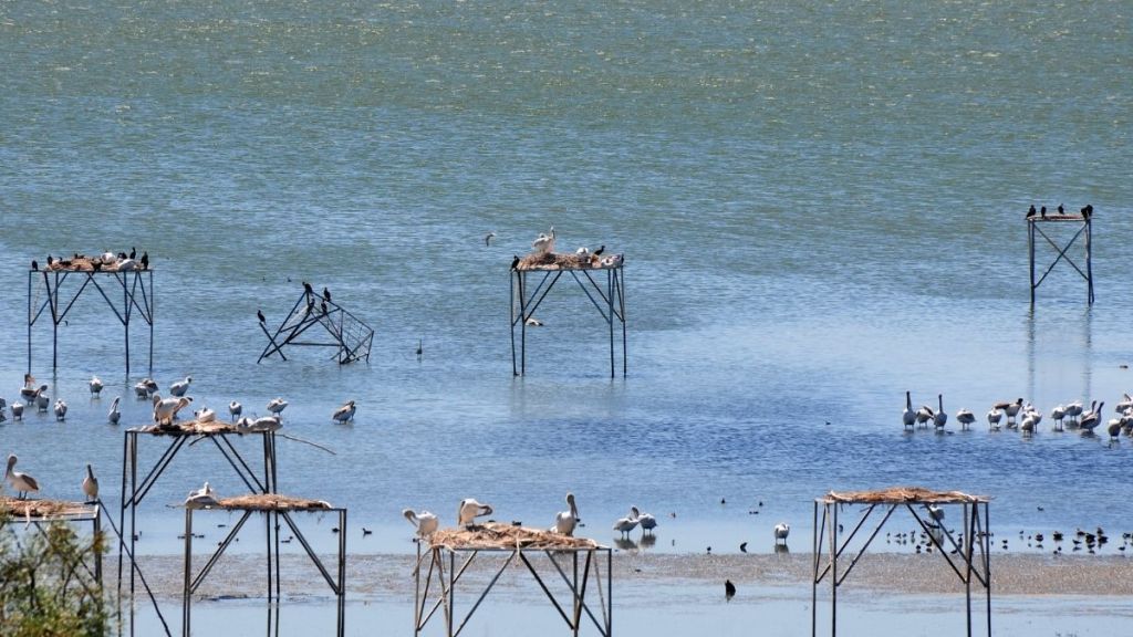 Bandırma'da Tatil Başka Yaşanır haber gorseli 2025 09 14T151100.965 - Marmara Bölge Gazetesi