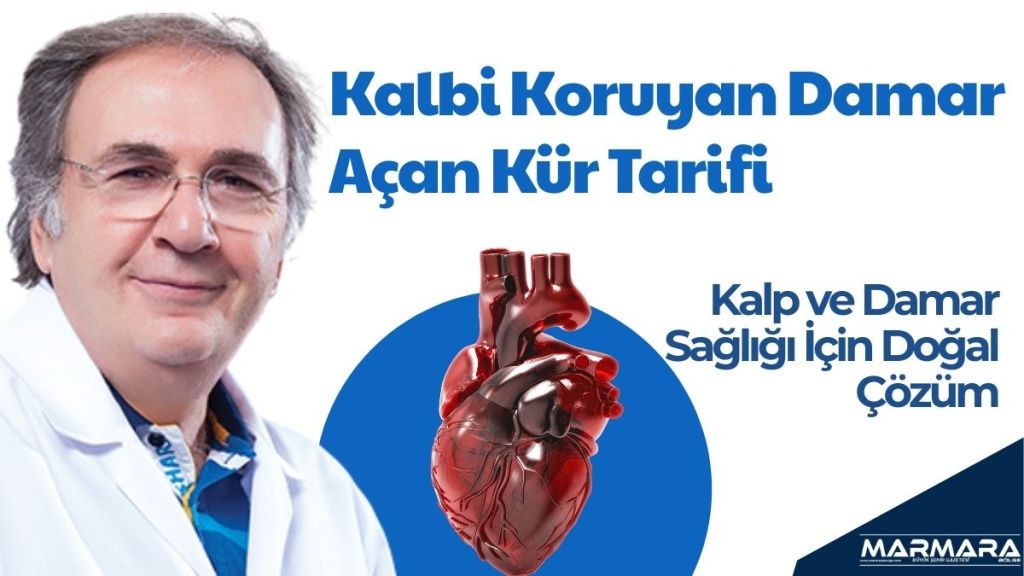 Prof. Dr. İbrahim Saraçoğlu, YouTube programında kalp ve damar hastalıklarına